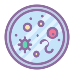 Bacteria icon